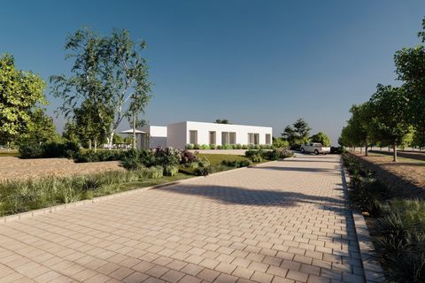 Villa i Algorfa, Alicante, Algorfa - € 995 000 | Ref: CSPN-86510 - foto 8