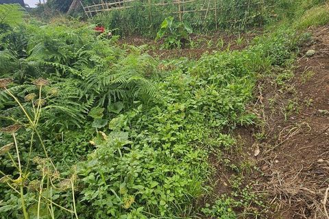 Tomt i Machico, Madeira, Machico - € 200 000 | Ref: 146637 - foto 2