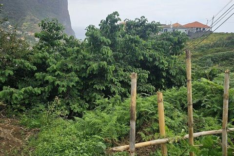 Tomt i Machico, Madeira, Machico - € 200 000 | Ref: 146637 - foto 3