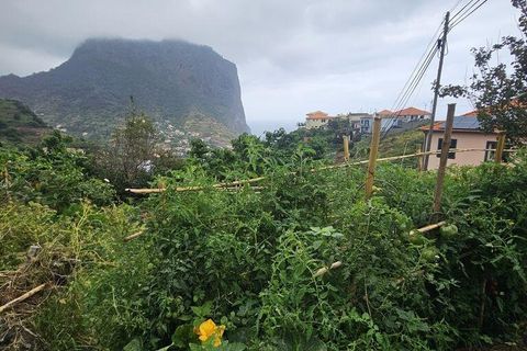 Tomt i Machico, Madeira, Machico - € 200 000 | Ref: 146637 - foto 6