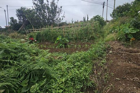 Tomt i Machico, Madeira, Machico - € 200 000 | Ref: 146637 - foto 7