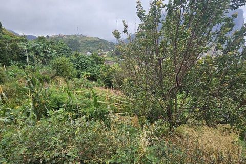 Tomt i Machico, Madeira, Machico - € 200 000 | Ref: 146637 - foto 8