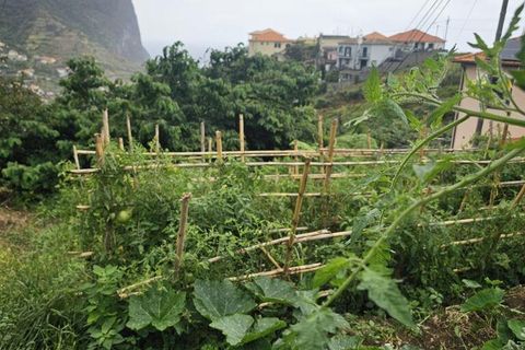 Tomt i Machico, Madeira, Machico - € 200 000 | Ref: 146637 - foto 9
