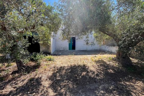 Lejlighed i Castelvetrano, Trapani, Castelvetrano - € 119.000 | Ref: Terreno con Rustico-Selinunte - foto 1