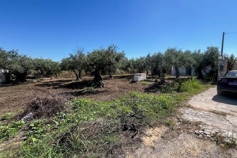 Lejlighed i Castelvetrano, Trapani, Castelvetrano - € 119.000 | Ref: Terreno con Rustico-Selinunte - foto 2