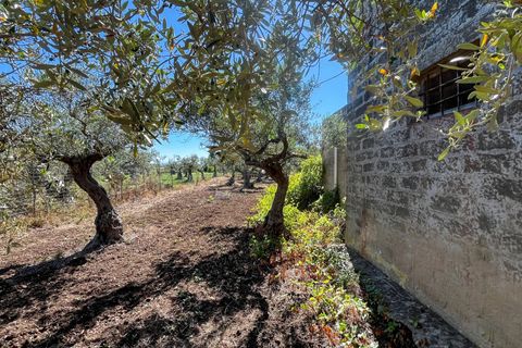 Lejlighed i Castelvetrano, Trapani, Castelvetrano - € 119.000 | Ref: Terreno con Rustico-Selinunte - foto 4