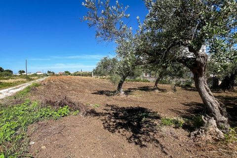 Lejlighed i Castelvetrano, Trapani, Castelvetrano - € 119.000 | Ref: Terreno con Rustico-Selinunte - foto 6