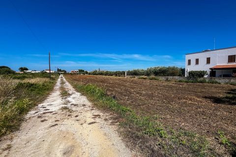 Lejlighed i Castelvetrano, Trapani, Castelvetrano - € 119.000 | Ref: Terreno con Rustico-Selinunte - foto 7