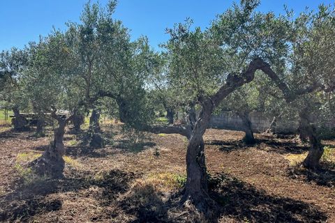 Lejlighed i Castelvetrano, Trapani, Castelvetrano - € 119.000 | Ref: Terreno con Rustico-Selinunte - foto 9