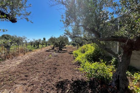 Lejlighed i Castelvetrano, Trapani, Castelvetrano - € 119.000 | Ref: Terreno con Rustico-Selinunte - foto 10