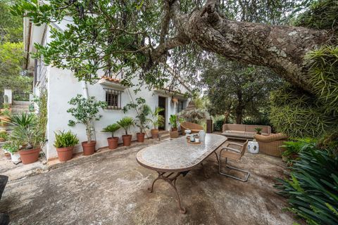 Casa de campo en Algaida, Mallorca, Algaida - € 1.350.000 | Ref: 01NUCP052/3010 - photo 15