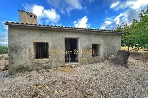 Landejendom i Elche, Alicante, Elche - € 149.000 | Ref: AM0042 - foto 2