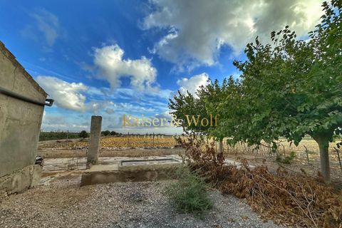 Landejendom i Elche, Alicante, Elche - € 149.000 | Ref: AM0042 - foto 3