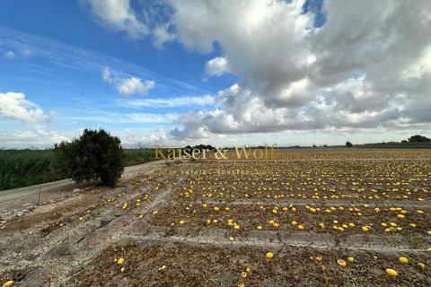 Landejendom i Elche, Alicante, Elche - € 149.000 | Ref: AM0042 - foto 4
