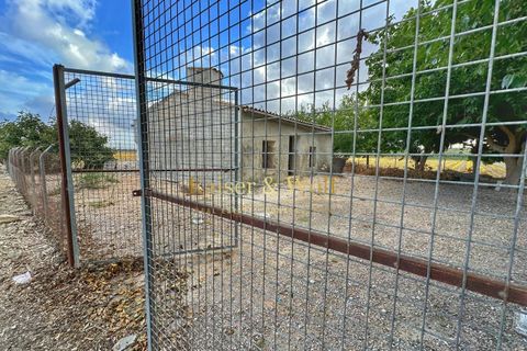 Landejendom i Elche, Alicante, Elche - € 149.000 | Ref: AM0042 - foto 11