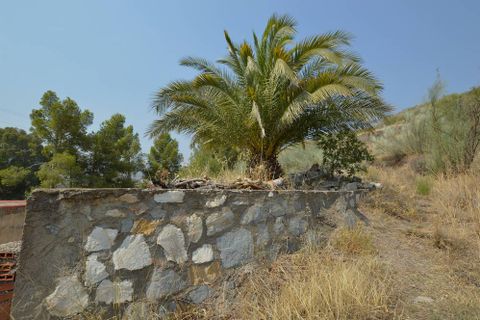Landejendom i Lubrin, Almeria, Lubrin - € 130.000 | Ref: OLV2118 - foto 12