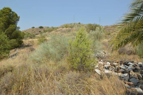 Landejendom i Lubrin, Almeria, Lubrin - € 130.000 | Ref: OLV2118 - foto 13