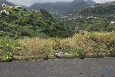 Helårsgrund i Machico, Madeira, Machico - € 160.000 | Ref: 146630 - foto 2
