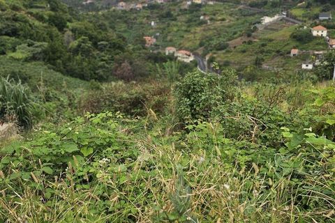 Helårsgrund i Machico, Madeira, Machico - € 160.000 | Ref: 146630 - foto 3
