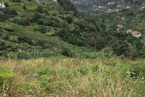 Helårsgrund i Machico, Madeira, Machico - € 160.000 | Ref: 146630 - foto 5