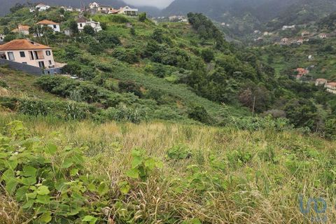 Helårsgrund i Machico, Madeira, Machico - € 160.000 | Ref: 146630 - foto 6