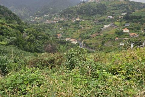 Helårsgrund i Machico, Madeira, Machico - € 160.000 | Ref: 146630 - foto 7
