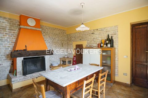 Villa a Giulianova, Teramo, Giulianova - € 410.000 | Ref: EV - VILLA CON OLIVETO E TERRENO COLLERANESCO - foto 2