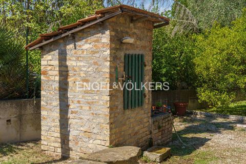 Villa a Giulianova, Teramo, Giulianova - € 410.000 | Ref: EV - VILLA CON OLIVETO E TERRENO COLLERANESCO - foto 4