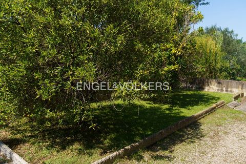 Villa a Giulianova, Teramo, Giulianova - € 410.000 | Ref: EV - VILLA CON OLIVETO E TERRENO COLLERANESCO - foto 5