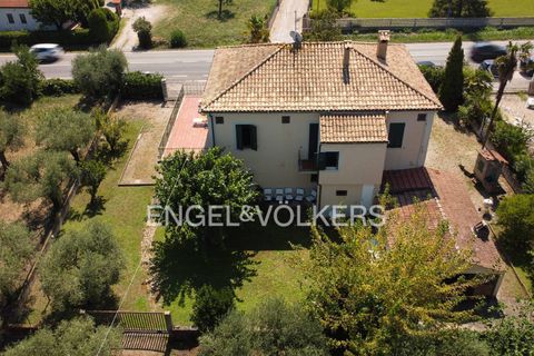 Villa a Giulianova, Teramo, Giulianova - € 410.000 | Ref: EV - VILLA CON OLIVETO E TERRENO COLLERANESCO - foto 17