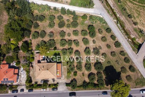Villa a Giulianova, Teramo, Giulianova - € 410.000 | Ref: EV - VILLA CON OLIVETO E TERRENO COLLERANESCO - foto 20