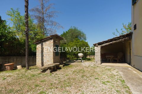 Villa a Giulianova, Teramo, Giulianova - € 410.000 | Ref: EV - VILLA CON OLIVETO E TERRENO COLLERANESCO - foto 21