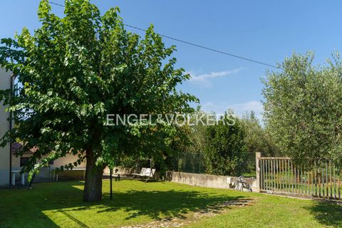 Villa a Giulianova, Teramo, Giulianova - € 410.000 | Ref: EV - VILLA CON OLIVETO E TERRENO COLLERANESCO - foto 22