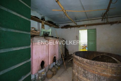 Villa a Giulianova, Teramo, Giulianova - € 410.000 | Ref: EV - VILLA CON OLIVETO E TERRENO COLLERANESCO - foto 24