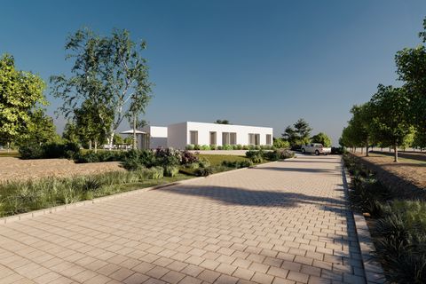 Villa i Algorfa, Alicante, Algorfa - € 995.000 | Ref: 23825 - foto 31