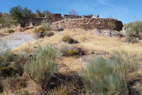 Terra a Turon, Granada, Turon - € 9.900 | Ref: Fuente Adelfa - foto 16