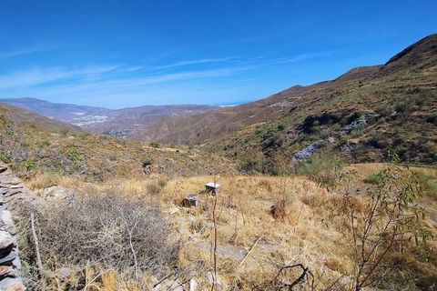 Terra a Turon, Granada, Turon - € 9.900 | Ref: Fuente Adelfa - foto 23