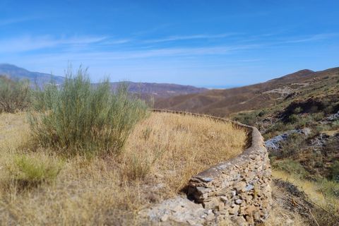 Terra a Turon, Granada, Turon - € 9.900 | Ref: Fuente Adelfa - foto 24