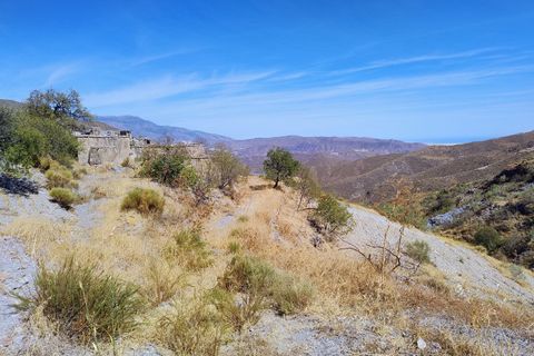 Terra a Turon, Granada, Turon - € 9.900 | Ref: Fuente Adelfa - foto 28