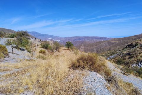 Terra a Turon, Granada, Turon - € 9.900 | Ref: Fuente Adelfa - foto 29