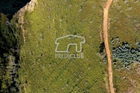 Terra a Calheta, Madeira, Calheta - € 220.000 | Ref: 11858-JG - foto 2