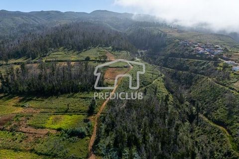 Terra a Calheta, Madeira, Calheta - € 220.000 | Ref: 11858-JG - foto 6