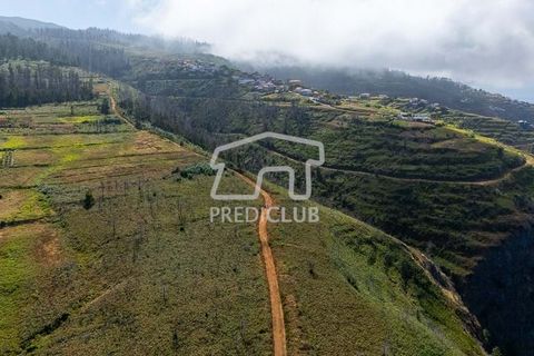 Terra a Calheta, Madeira, Calheta - € 220.000 | Ref: 11858-JG - foto 7