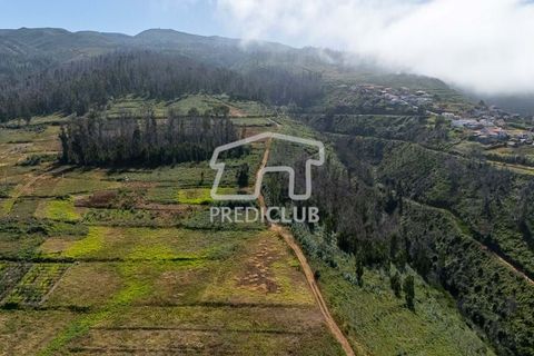 Terra a Calheta, Madeira, Calheta - € 220.000 | Ref: 11858-JG - foto 8