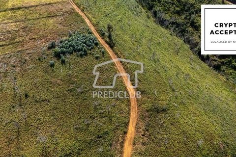 Tomt i Calheta, Madeira, Calheta - € 150 000 | Ref: 11857-JG - foto 1