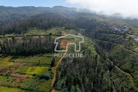 Tomt i Calheta, Madeira, Calheta - € 150 000 | Ref: 11857-JG - foto 6