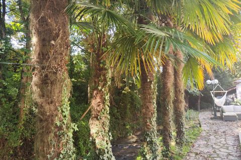 Villa i Orthez, Pyrenees-Atlantiques, Orthez - € 567.000 | Ref: 1940 - foto 36