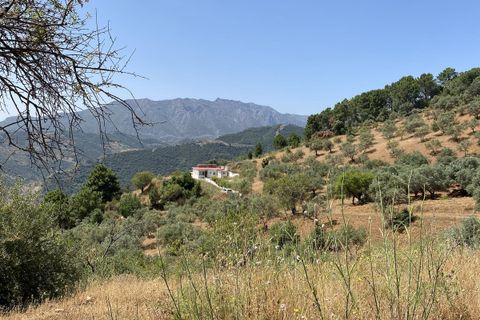Finca in Monda, Malaga - Foto 1