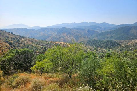 Finca in Monda, Malaga - Foto 2