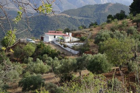 Finca in Monda, Malaga - Foto 3
